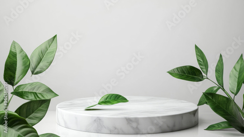 white stone marble podium with green leave on transparency background PNG