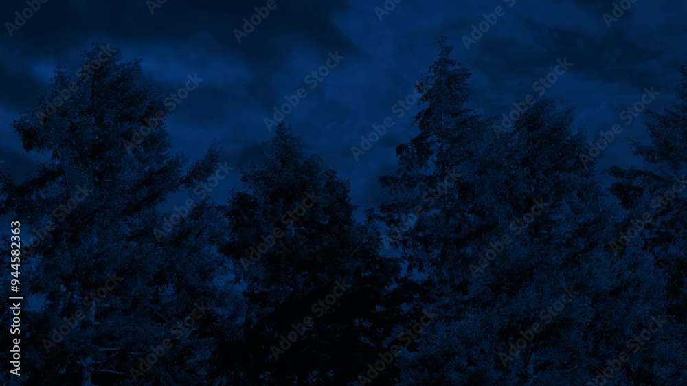 Lightning Storm Over The Trees At Night