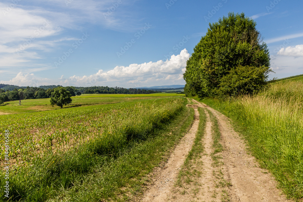 Path in green fields in the Czech Republic Path in green fields in the Czech Republic