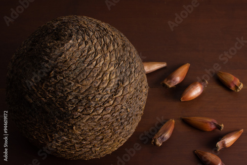 Close pine cone on a wood background. The true fruit of Araucaria and its seeds are pine nuts.