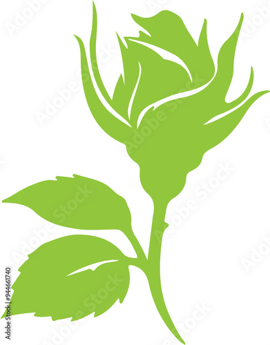 Rose voctor silhouette color flower illustration 16