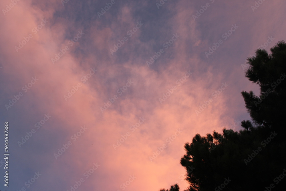 Cielo rosado sereno con colores degradados y siluetas de árboles Cielo rosado sereno con colores degradados y siluetas de árboles