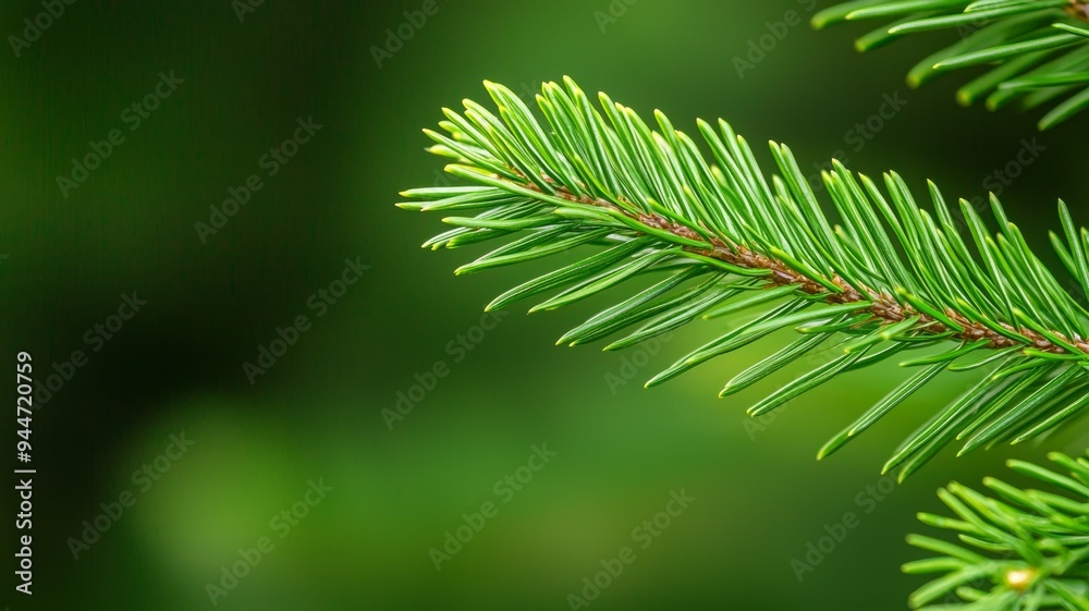A leafy green branch of a tree with a green background A leafy green branch of a tree with a green background