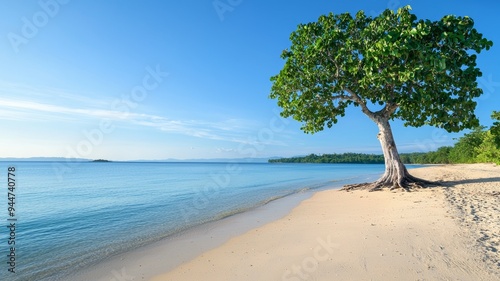 A tree is growing on a beach next to the ocean