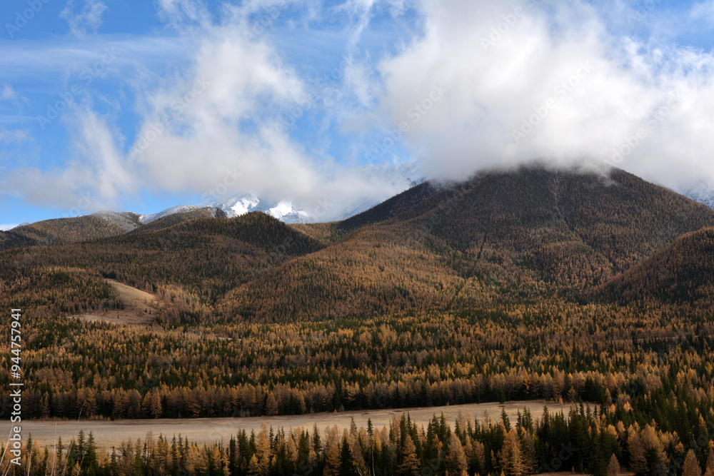 Panoramic view of a high mountain overgrown with dense coniferous forest and with a peak in the clouds on a clear autumn day. Panoramic view of a high mountain overgrown with dense coniferous forest and with a peak in the clouds on a clear autumn day.
