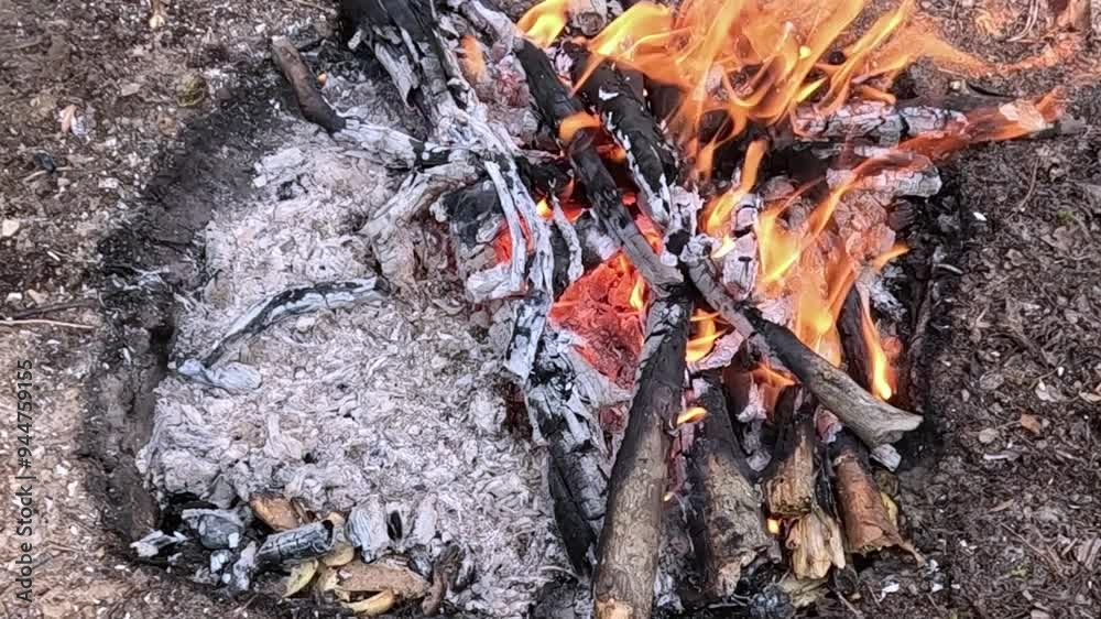 a fire is burning in the forest a fire is burning in the forest