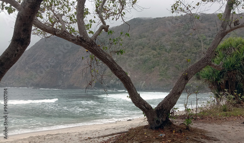 papuma beach indonesia photo