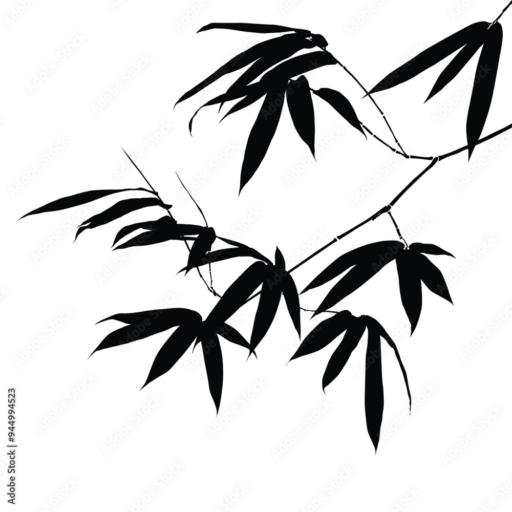 Black silhouette of bamboo leaves on white background isolated. Drawing vector illustrations. Botanical hand drawn element.