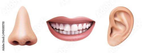 3d realistic vector icon set.Three human sences, ear, nose and mouth. Hearing, tasting and smelling.