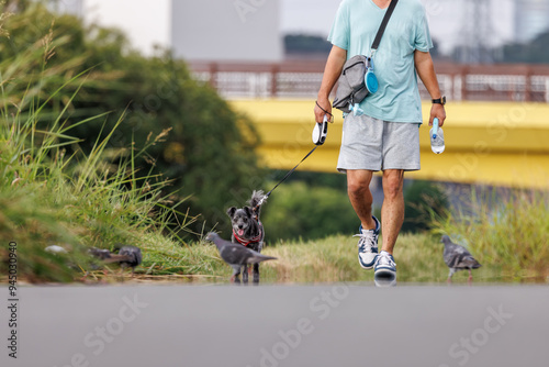 川の土手の道を犬を連れて散歩する人