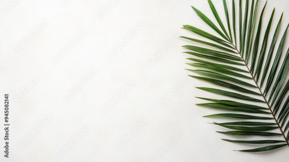 This composition features lush green palm branches positioned on a light backdrop, providing a serene and spacious environment for text or design elements This composition features lush green palm branches positioned on a light backdrop, providing a serene and spacious environment for text or design elements