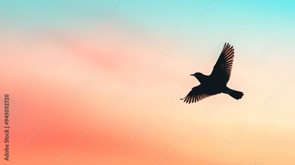 Fototapeta premium Silhouette of bird flying at sunrise with colorful sky