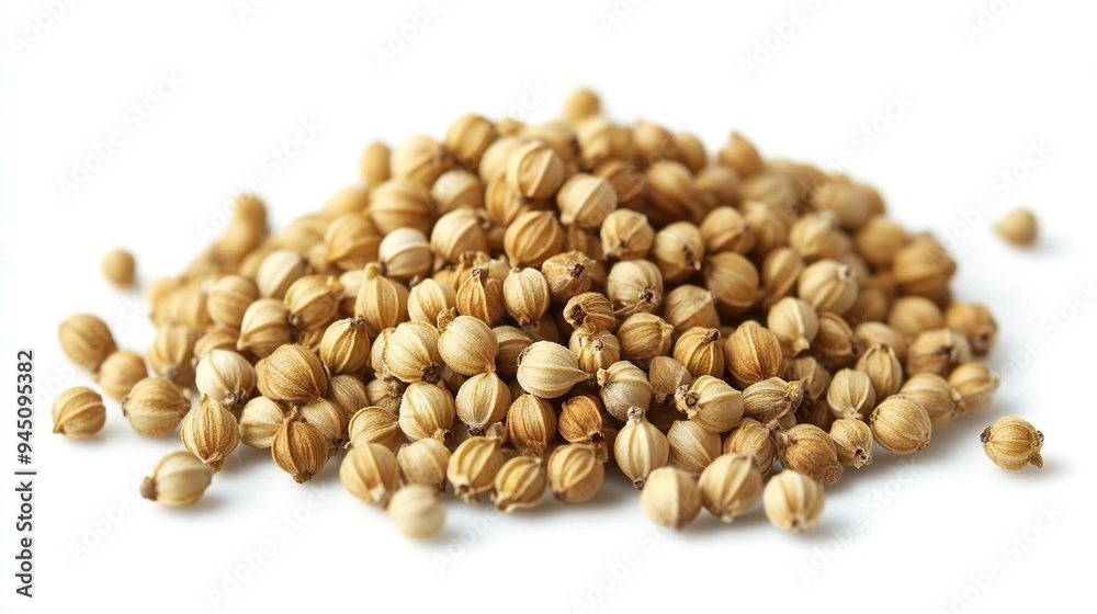 Heap of Dried Coriander Seeds on White Background Heap of Dried Coriander Seeds on White Background