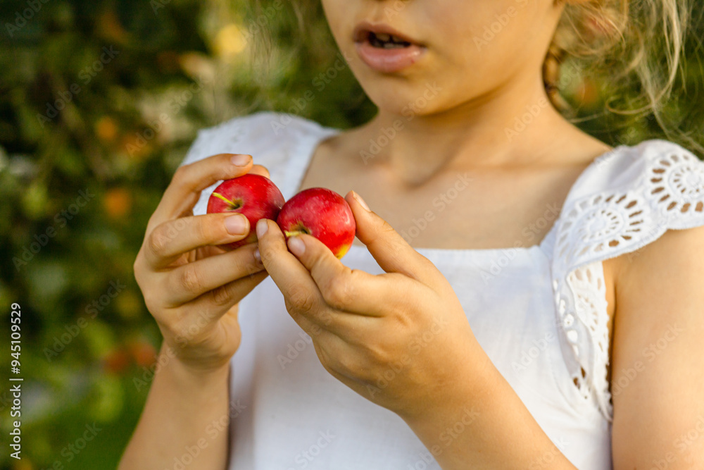 A cropped view of a girl in white dress holding a red apple in her hand, green grass and wooden fence in the background. Crop harvesting in a garden. Smart farming harvesting lifestyle. Real photo A cropped view of a girl in white dress holding a red apple in her hand, green grass and wooden fence in the background. Crop harvesting in a garden. Smart farming harvesting lifestyle. Real photo