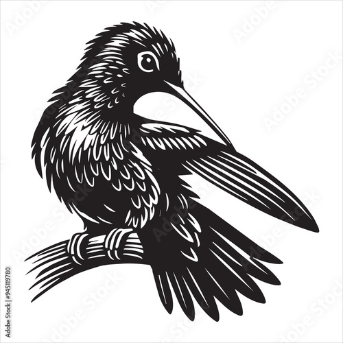 Hummingbird Silhouette Design, Archilochus colubris Clipart Design,  Ruby-throated hummingbird preening its feathers Illustration in black and white
