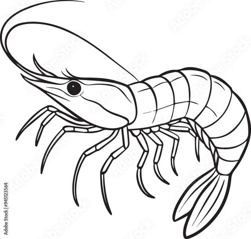 prawn line art vector