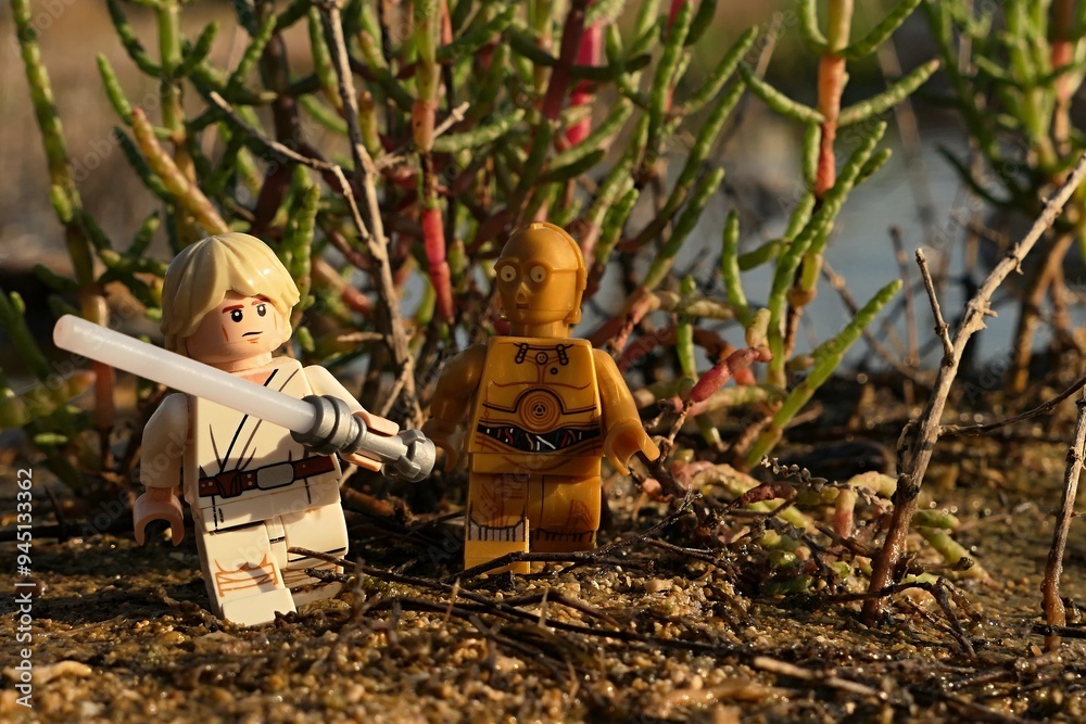 Naklejka premium LEGO Star Wars Luke Skywalker with white lightsaber and golden android C3PO walking on shoreline sand between edible Salicornia plants, sunlit by summer late afternoon sunshine.
