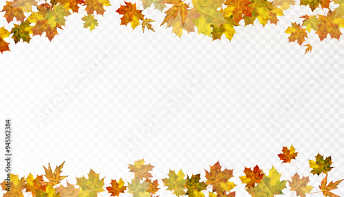Autumn leaves are scattered randomly on a transparent background. Bright beautiful foliage. Autumn ornament. Vector for web design and illustrations.