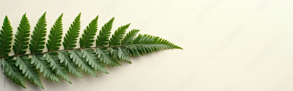 fern leaf against a light background, with clean lines and ample space for copy fern leaf against a light background, with clean lines and ample space for copy
