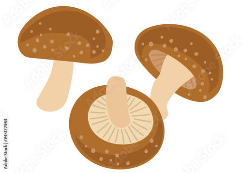 椎茸,のイラストセット2