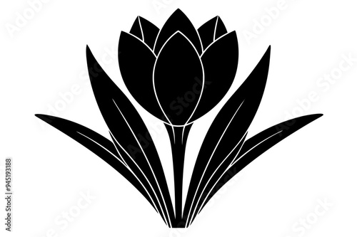 Crocus of thorns Silhouette on vector illustration with white background