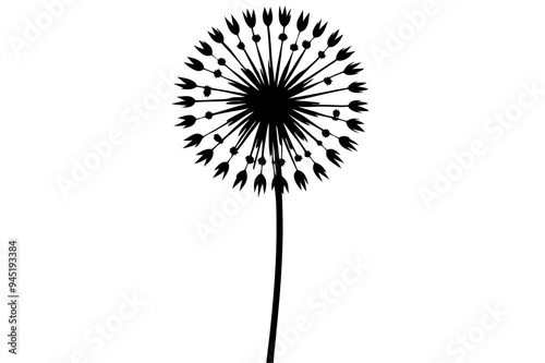 Dandelion Silhouette on vector illustration with white background