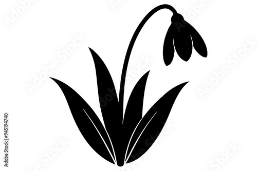 Snowdrop Silhouette on vector illustration with white background.