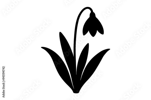 Snowdrop Silhouette on vector illustration with white background.