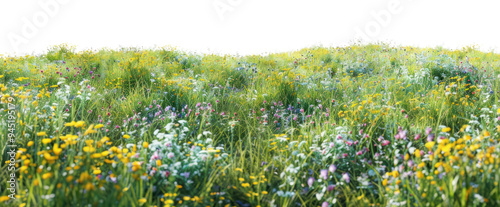 PNG Hilly spring fields countryside vegetation grassland. photo