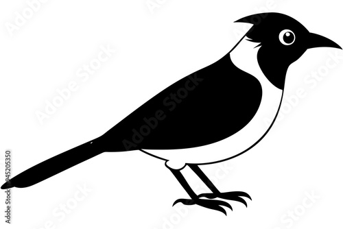 Silhouette Vector Illustration of Blue-crowned Laughingthrush, Bird Silhouette Art