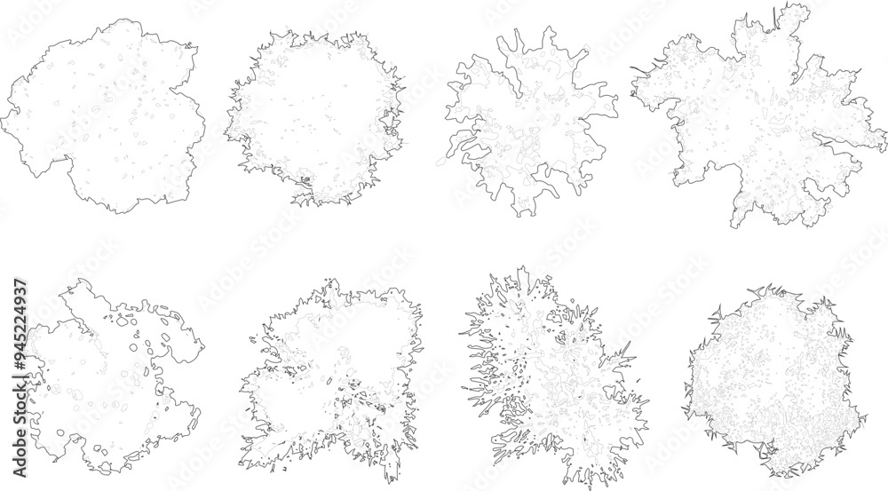 Tree plan outline silhouettes - top view 7