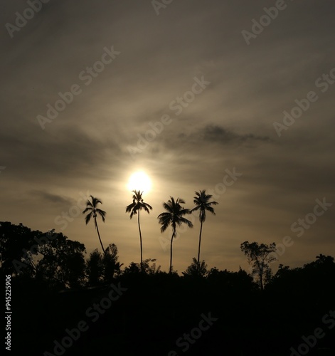 sunset in the jungle