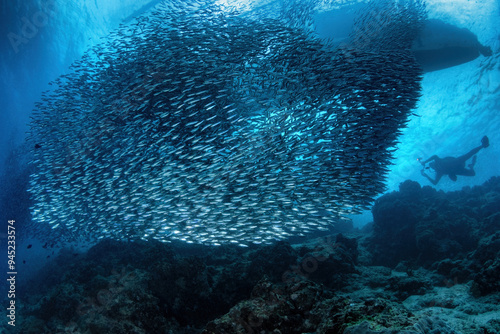 School of sardines with a distant silhouette of a scuba diver and a bangka boat on the surface 