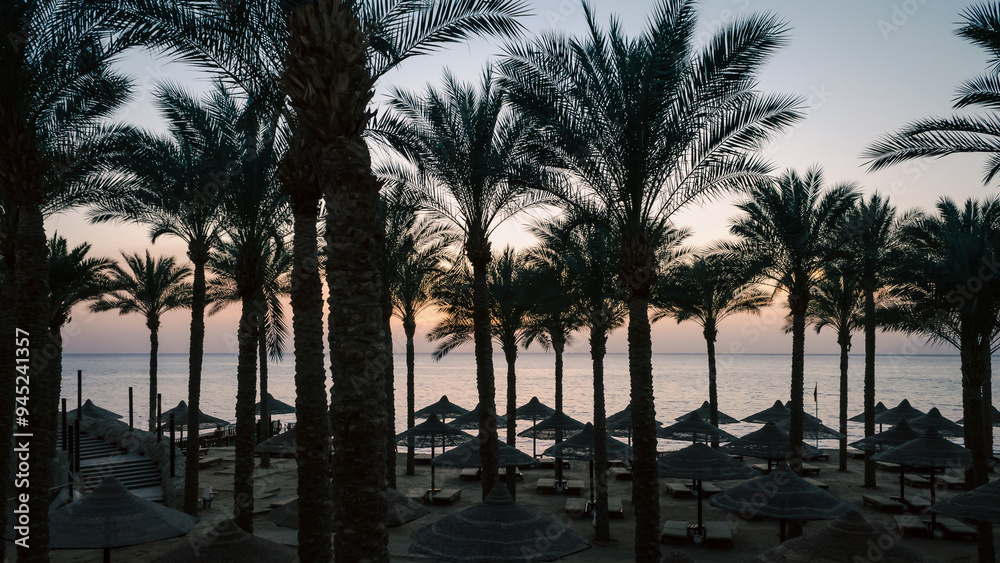 Obraz premium empty beach with palm trees and umbrellas in egypt sharm el sheikh at sunrise
