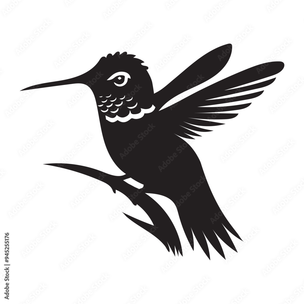 Hummingbird Silhouette Design, Calypte anna Clipart Design, Anna's Hummingbird in a defensive posture Illustration in black and white
