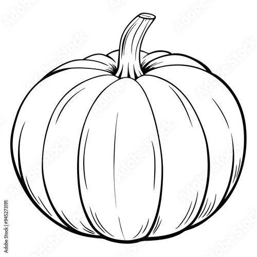 Black and White Vector of a Pumpkin, Minimalist Design photo