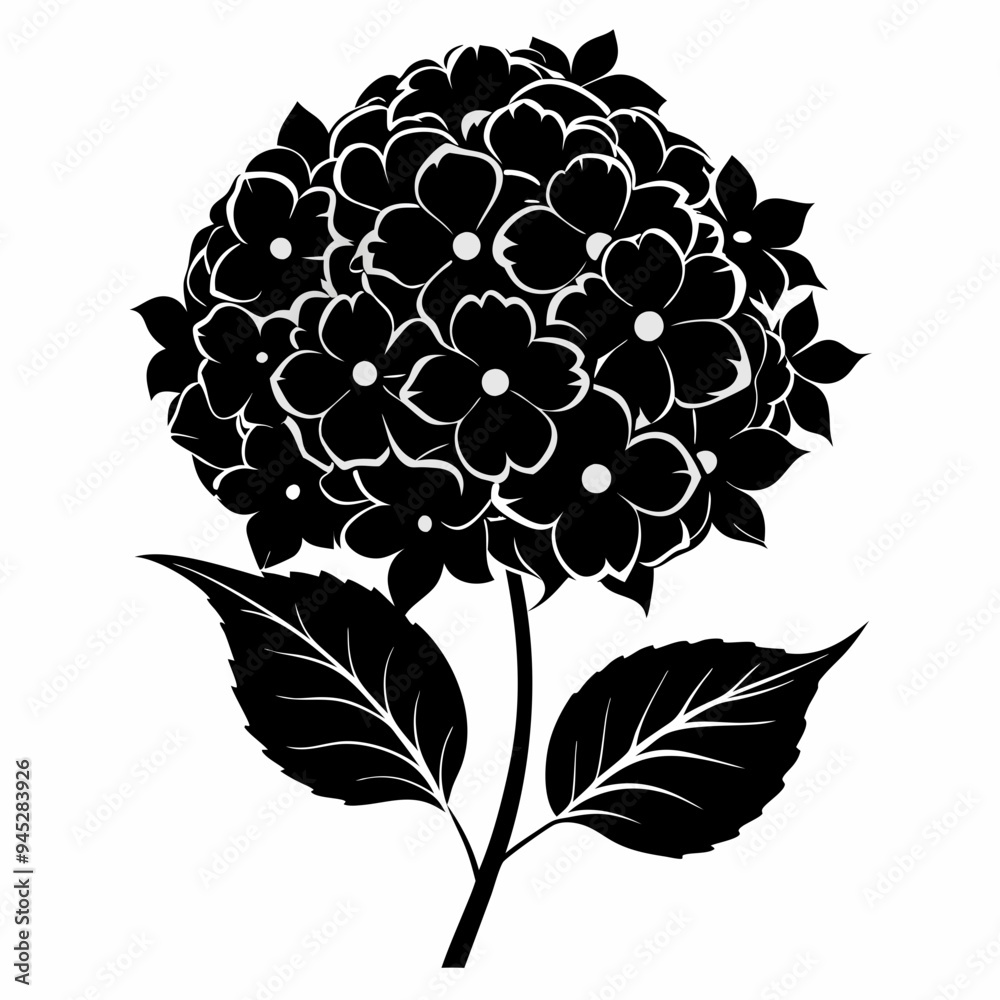 Hydrangea flower Black silhouette Hydrangea flower Black silhouette