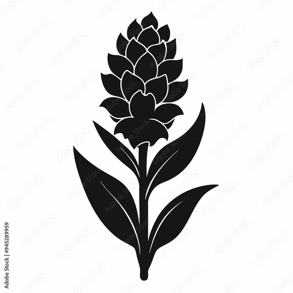 Hyacinth flower Black silhouette Hyacinth flower Black silhouette
