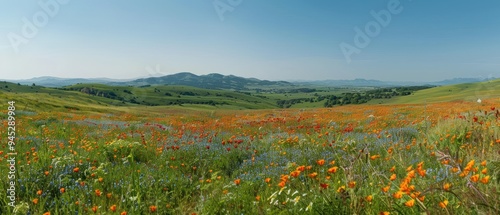 Serene Landscape of Rolling Hills Blanketed with Colorful Wildflowers on a Sunny Day