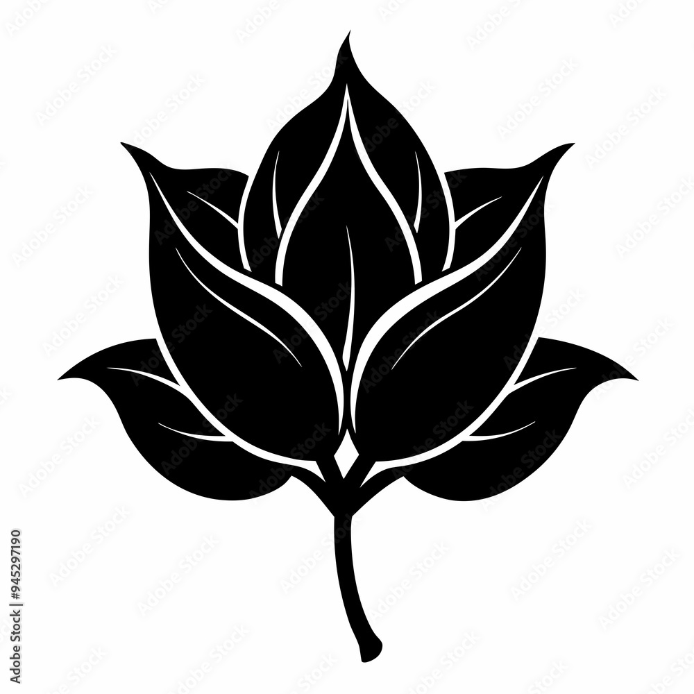 Hosta flower Black silhouette Hosta flower Black silhouette