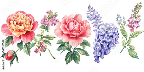 Set of iconic Victorian garden flowers Peony, Rose, Foxglove, Wisteria classic and elegant, watercolor clipart isolated on white background