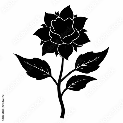Balsam flower Black silhouette