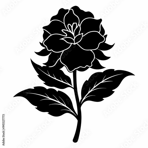 Balsam flower Black silhouette