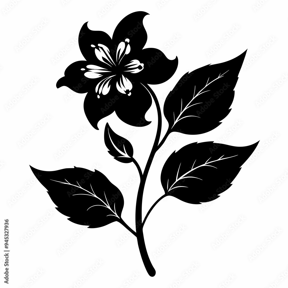 Obraz premium Balsam flower Black silhouette