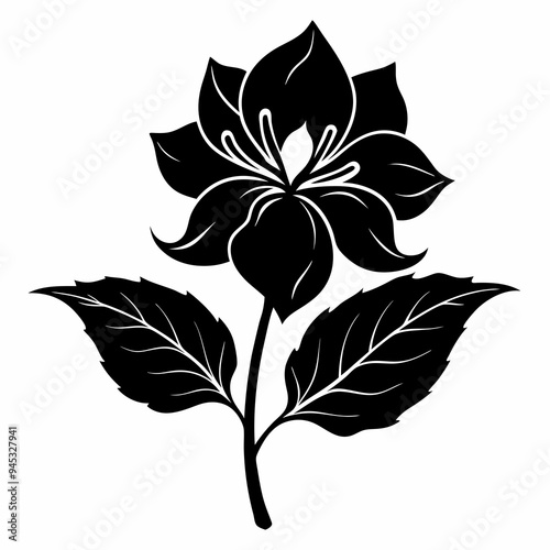 Balsam flower Black silhouette