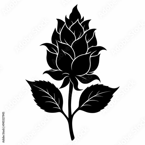 Balsam flower Black silhouette