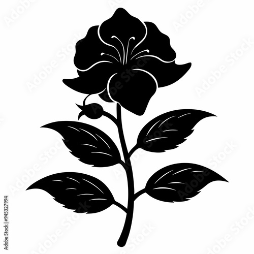 Balsam flower Black silhouette