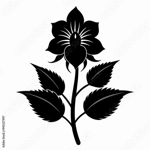 Balsam flower Black silhouette