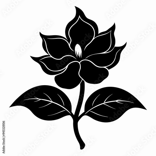 Balsam flower Black silhouette