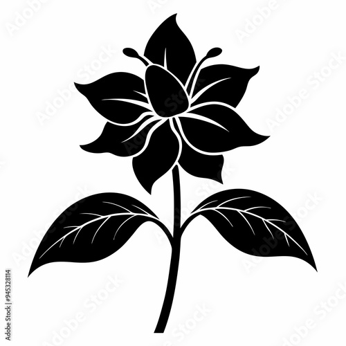 Balsam flower Black silhouette